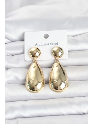 Renas Store 316L Çelik Gold Renk Damla Model Kadın Küpe TJ-BKP11830