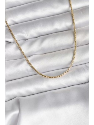 Renas Store 14K Gold Renk Kaplama Ince Zincir Model cm Kadın Kolye - TJ-BKO10741