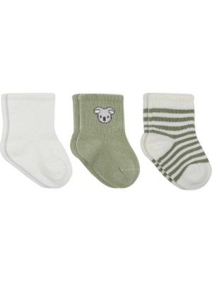 Renas Store Koala Boy 3'lü Penye Soket Çorap 10133 Ekru