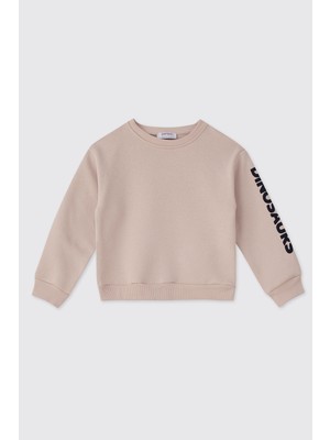 Panço Erkek Bebek Taş Sweatshirt