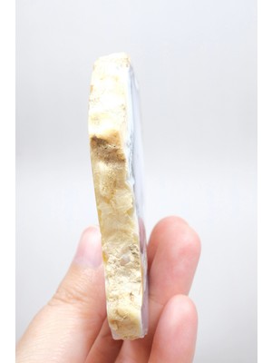 Healcrystal Dendritik Bal Opal Dilimi: Cilalanmış Merlinite Taşı (90G)