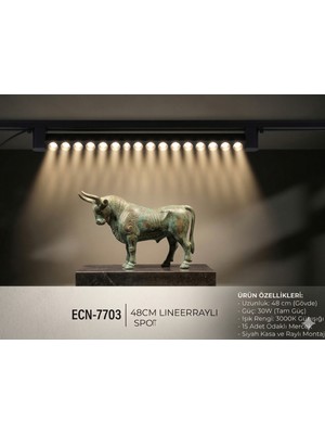 Econa Siyah Kasa Günışığı 180 ' Magnet LED Ray Spot Lamba 1 Metre Raylı Armatür 48CM