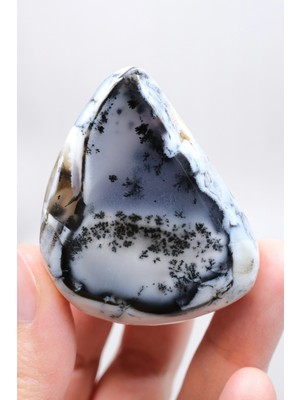 Healcrystal Alkimik Mavi ve Altın Birleşimi: Cilalı Merlinit (Dendritik Opal) Numunesi