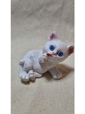 Los Polyester Kedi Biblo