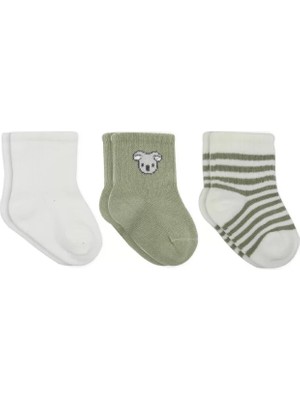 Renas Store Üreticiniz Koala Boy 3'lü Penye Soket Çorap 10133 Ekru