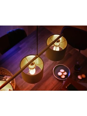Bg Store Hue 5.3W Renkli Akıllı B39 E14 LED Ampul, Bluetooth Özellikli