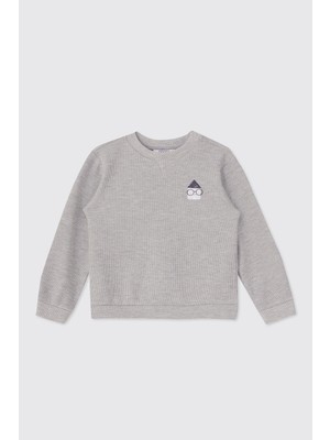 Panço Erkek Bebek Yakası Düğmeli Gri-Melanj Sweatshirt