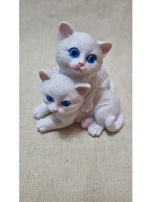 Los Polyester Kedi 2'li Biblo