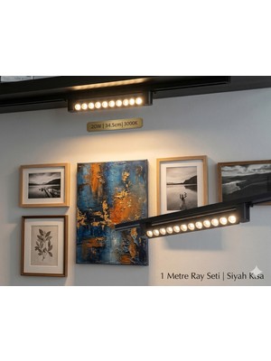 Econa Siyah Kasa Günışığı 180 Derece Magnet LED Ray Spot Lamba 1 Metre Raylı Armatür