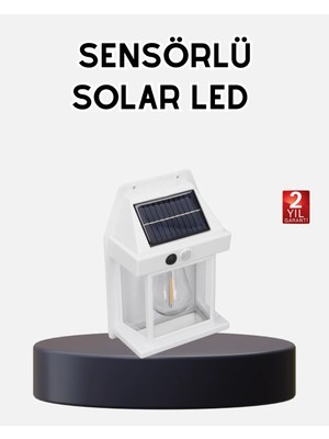 TeknoKapsül Solar Sensörlü Dış Mekan Lamba 3 Işık Modlu ve IP65 Dayanıklı