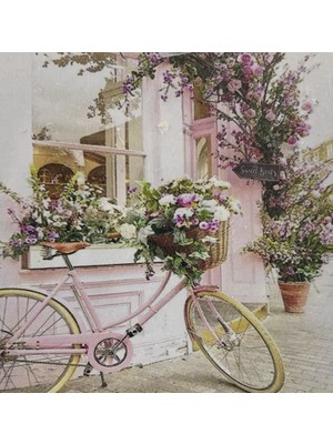 Elegantshop 5d Yapışan Boncuk Mozaik Tablo 30*30 cm VX10