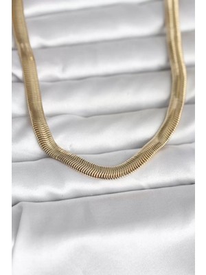 Renas Store cm 14K Gold Renk Kalın Yassı Yılan Zincir Model 45 cm Kadın Kolye - TJ-BKO11006