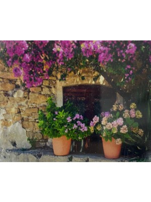 Elegantshop 5d Yapışan Boncuk Mozaik Tablo 20*30 cm Xbm8