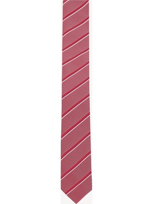 Ysf Erkek Bordo Desenli Slim Kravat