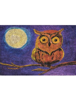 Mey İthalat Monnhein Tasarımlı Dekoratif Kapı Önü Paspas, Dış Mekan/ev Içi/banyo/mutfak/yatak Odası/giriş Paspasları (Gece Baykuş, 45X70)