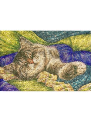 Mey İthalat Monnhein Tasarımlı Dekoratif Kapı Önü Paspas, Dış Mekan/ev Içi/banyo/mutfak/yatak Odası/giriş Paspasları (Pastel Boyama Cat, 45X70)