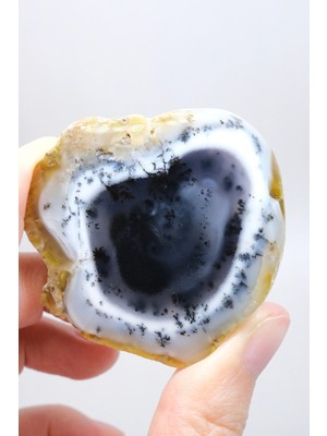 Healcrystal Nadir "kış Ormanı" Merlinit Dilimi (Mavi ve Beyaz Dendritik Opal) - Cilalanmış Portal Koleksiyoncuya Özel Örnek (68G)