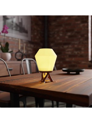 Mey İthalat Deco Fabrıca Modern Organik Tasarım Masa Lambası – Akışkan Formlu Minimalist Abajur | Ev ve Ofis Için Doğal Ilhamlı Dekoratif Aydınlatma