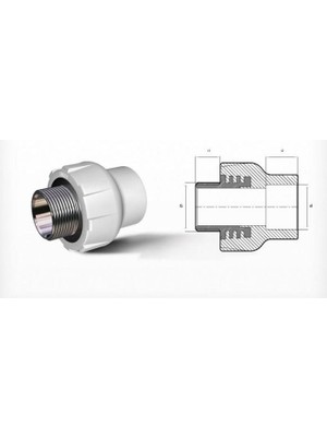 Egecen Ege Yıldız Pprc 50X1 1/2 Erkek Adaptör Gri