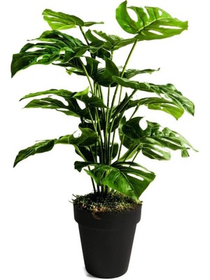 Nettenevime Yapay Ağaç Salon Bitkisi Monstera 70 cm 18 Yaprak Antrasit Saksıda