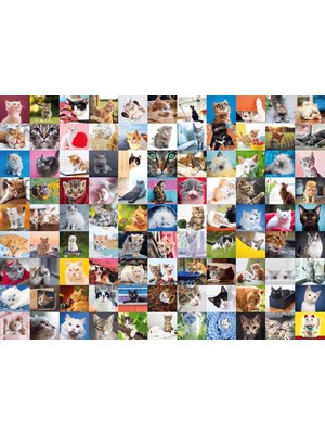 1500 Parça Puzzle 99 Kedi