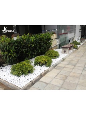 PAYAM44 Beyaz Dolomit Taş 20 kg 2,5-4 cm Dekoratif Taş Bahçe Süs Taşı