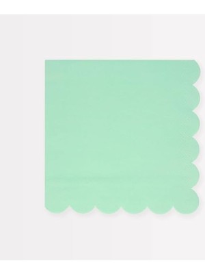 Sea Foam Green Large Napkins - Deniz Köpüğü Yeşili Peçeteler (L) (X16)