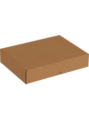 26X19X5-25 Adet Kilitli E Ticaret Karton Kargo Kutusu