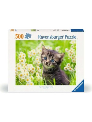 500P Puzzle Kedi Foto, Yapboz
