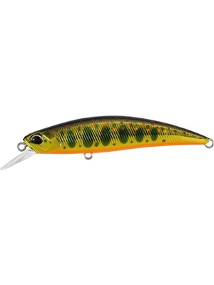 Duo Spearhead Ryuki 70SP MCC4084 Gold Yamame Suni Yem