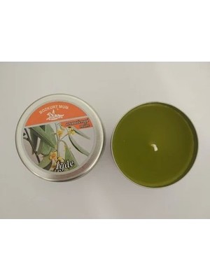 Bozkurt Mum Iğde 120 gr
