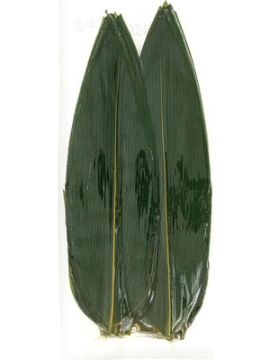 Guri Bambu Yapraği 100 Yaprak En: 7-8 cm Boy: 30 cm