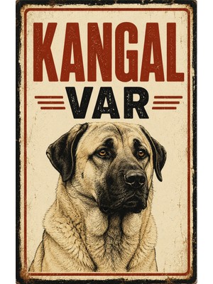 Lucena Retro Kangal Var Metal Uyarı Tabelası Dekoratif Bahçe Kapı Güvenlik Levhası