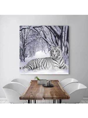 Brf Store Pmstore Stellastore Kaplan Resimli Kanvas Tablo, 30 x 40