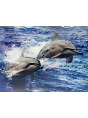 Renas Store 5d Elmas Boyama Sevimli Yunuslar Ikili Yunus Resmi Tablosu 30X40 cm