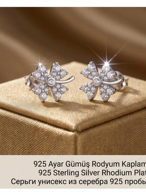 Begonia Accessories 927 Ayar Gümüş Rodyum Kaplama Zirkon Taşlı Minimal Halka ve Çivi Küpe Kadın Lüks Tasarım Şık Günlük Kullanım Gümüş Küpe ÇEŞITLERI-108-5D