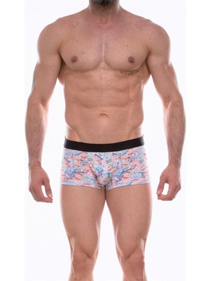Aesco Erkek  Desenli Boxer