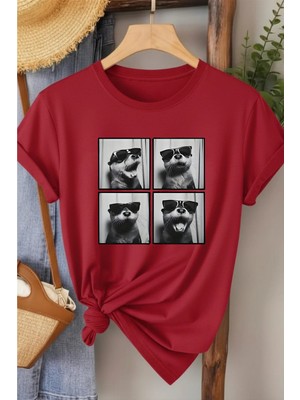 L'eivor Fok Balığı Poz Baskılı Kadın T-Shirt