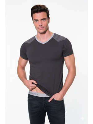 Aesco Berrak Erkek  T Shirt 4033