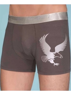 Aesco Berrak Erkek  Eagle Boxer 1091