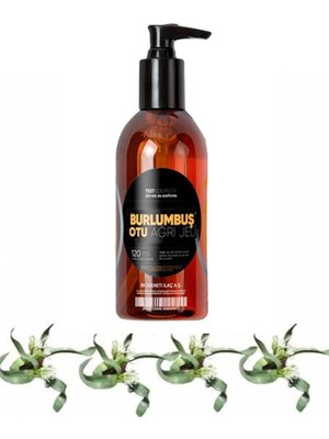 Vexor Burlumbuş Otu Rahatlatıcı Bakım Masaj Jeli 120 ml x 1 Adet