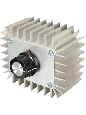 1001 220V 5000W Motor Dimmer Hız Kontrol Kartı, Manuel, Basma Düğmesi, Gümüş