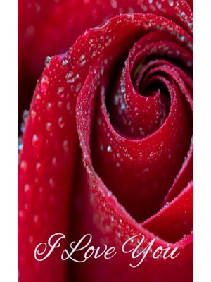 Valor I Love You: Affirmation Gift, Holiday Gift, Gift For Loved Ones Book