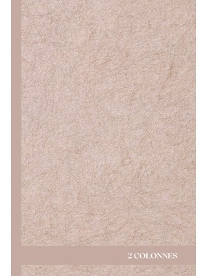 Valor Cahier De 300 Pages 2 Colonnes: Cahier Relié À Couverture Rigide, Imprimé Petits Carreaux 5x5 Mm. F