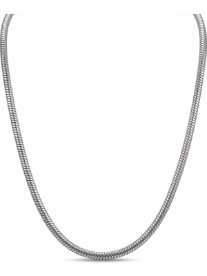 1001 Çelik Zincir Kolye Erkek Unisex, 316L Paslanmaz Çelik Kolye 60 Cm, Gurmet Yılan Balık Sırtı Ti