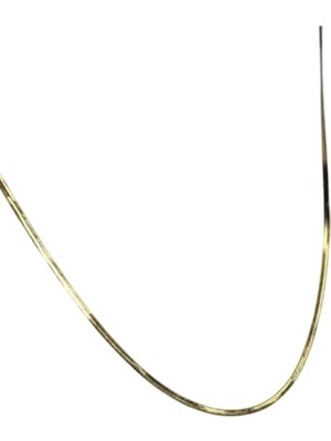 1001 316L Paslanmaz Çelik Ince 2mm Italyan Zincir Gold Kolye 45CM