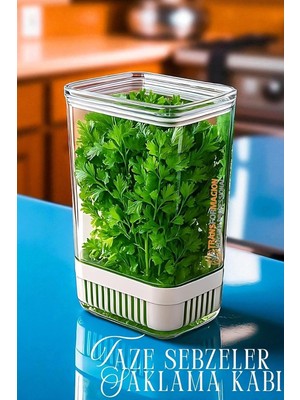 Valor Transformacion Yeşillik Saklama Kabı 2900 ml - Taze Yeşillik Için Süzgeçli Saklama Kutusu, 74300007