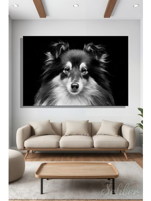Şehber Shetland Çoban Köpeği Siyah Beyaz Portre Yatay Kanvas Tablo Tekli Ev Kafe Ofis 3409
