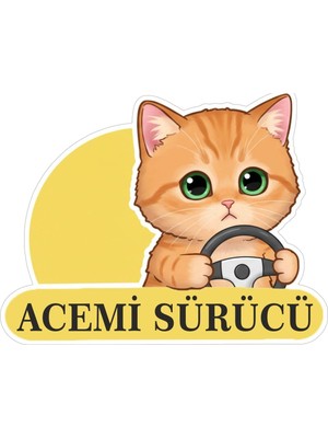 Meks Parti Tasarla Acemi Sürücü Sevimli Kedi Araba Etiketi & Sticker Çok Renkli