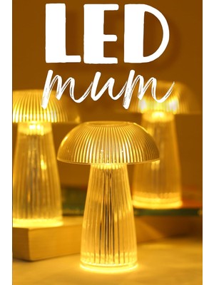 Meks 3 Adet LED Mum Kristal Tip Pil Dahil Dumansız Alev Ledli Yapay Dekoratif Mum Işığı Şeffaf PT429